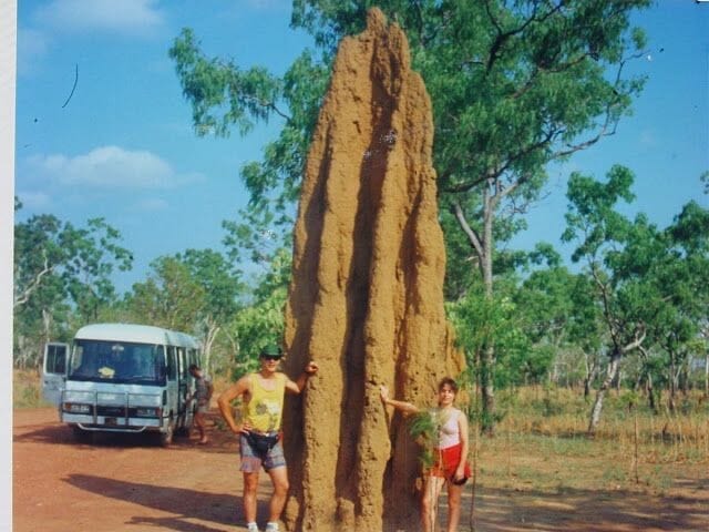 termitero gigante australia - visitar el parque kakadu