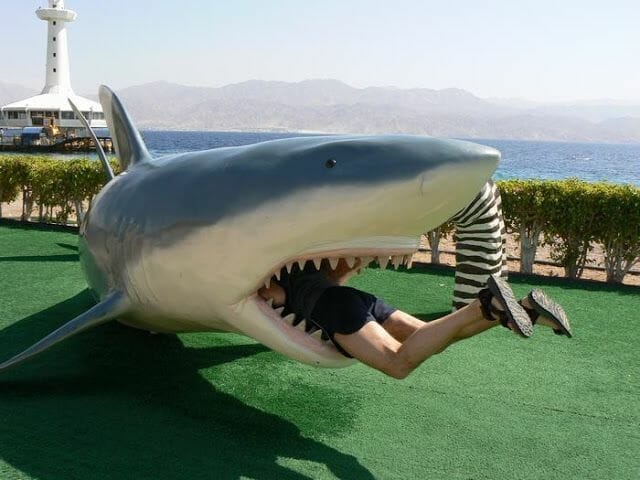 fotos haciendo el turista ataque tiburon