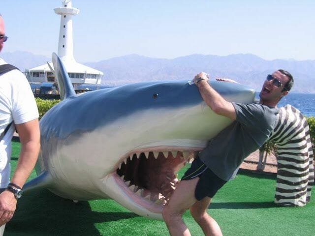fotos haciendo el turista tiburon ataque