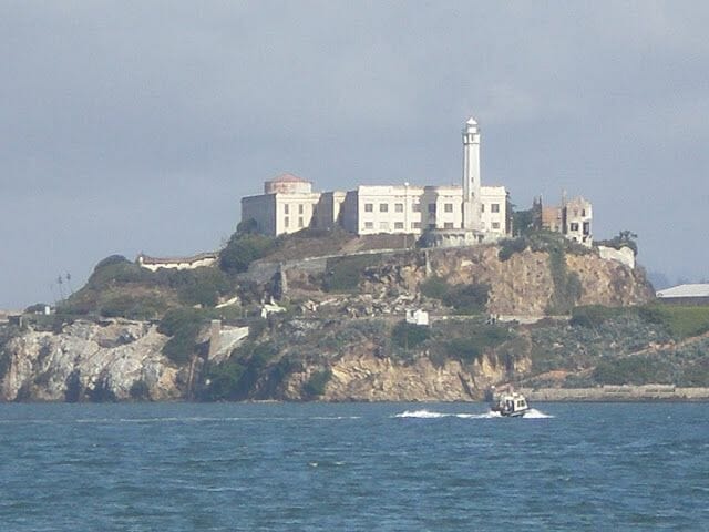 Alcatraz sobre la roca