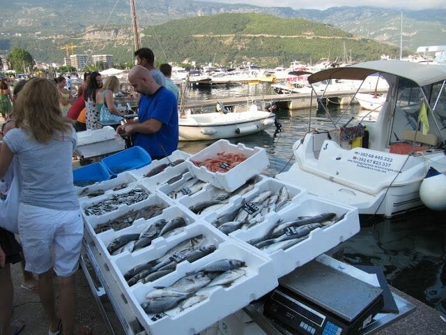 pescar Montenegro