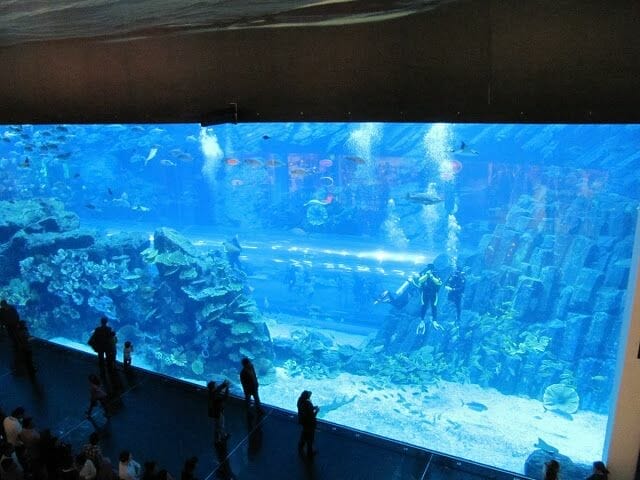 Dubai aquarium, Underwater zoo