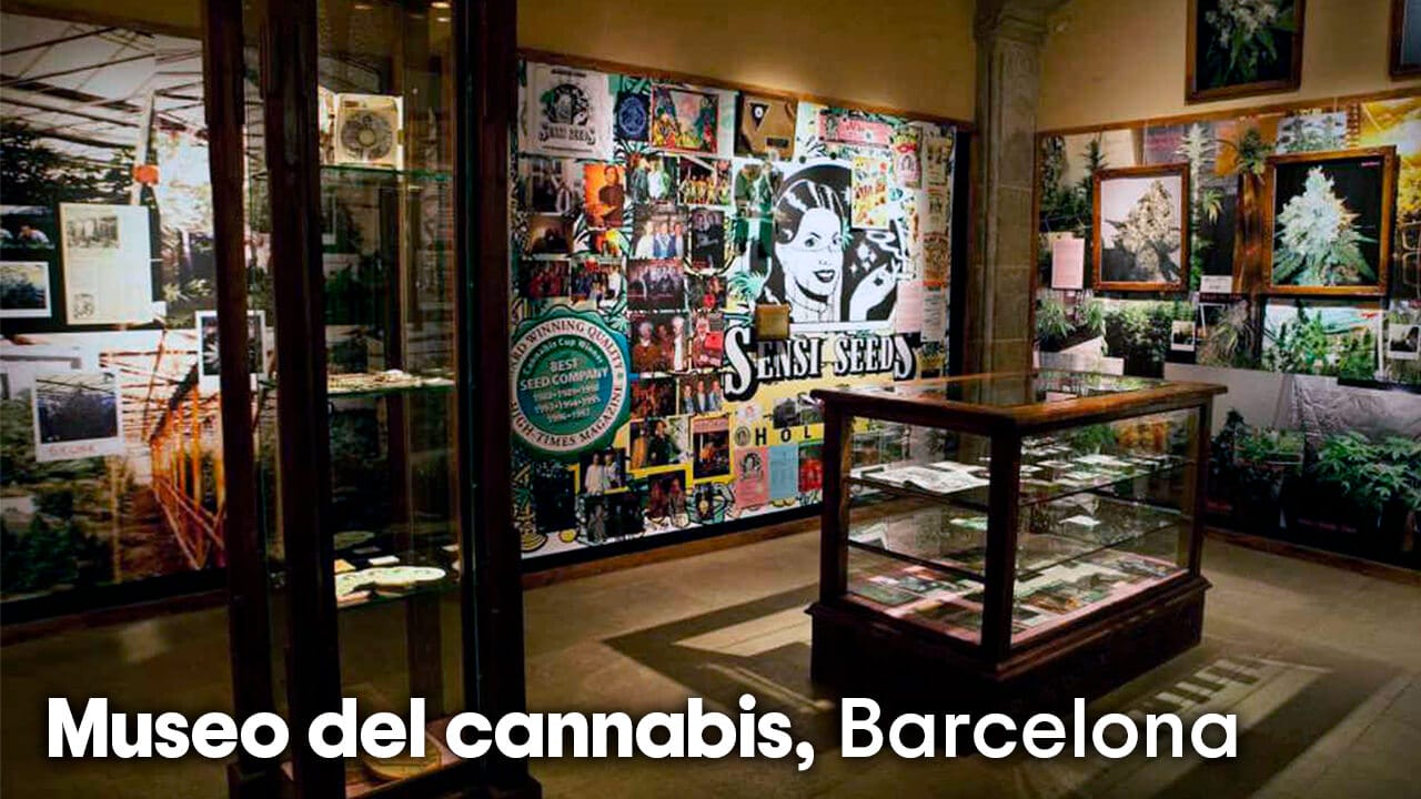 Museo del cannabis de Barcelona, Hash Marihuana & Hemp Museum
