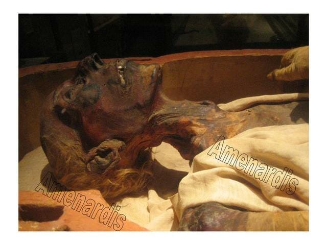 momias egipcias del museo de El Cairo