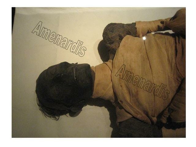momia de Tutmosis IV - momias reales egipcias en el NMEC