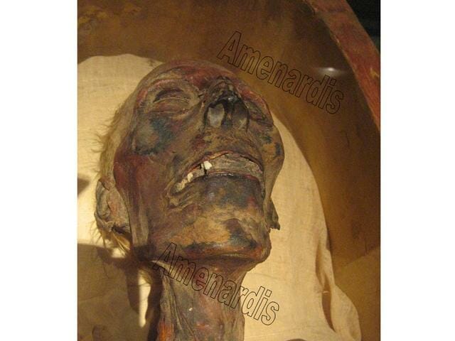 cabeza de la momia de Ramsés II en el museo de El Cairo - momias egipcias reales del NMEC