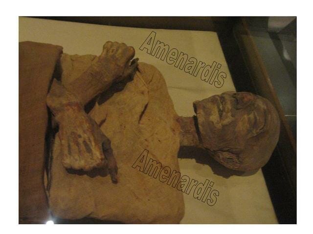 momia de Merneptah en el museo del Cairo - momias egipcias reales