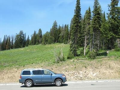 cómo moverse por el parque - consejos para viajar a Yellowstone