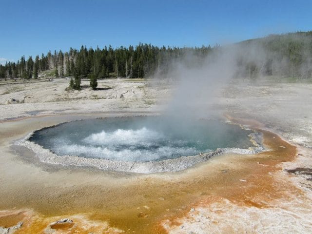 Crested Pool Qué ver en Yellowstone en un día