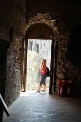 puerta castillo de Porchester