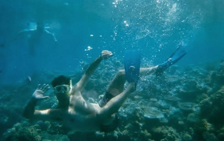 snorkel Australia