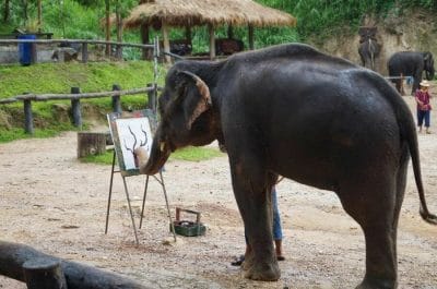 Elefantes pintores