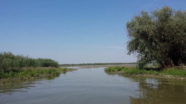  Delta del Danubio lago