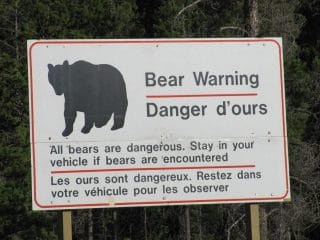 BEAR WARNING