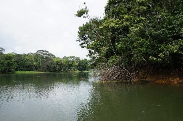 lago Gatún Panamá