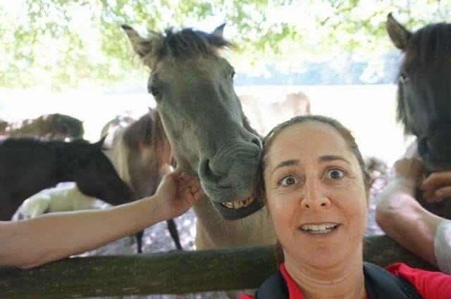 selfie con un caballo