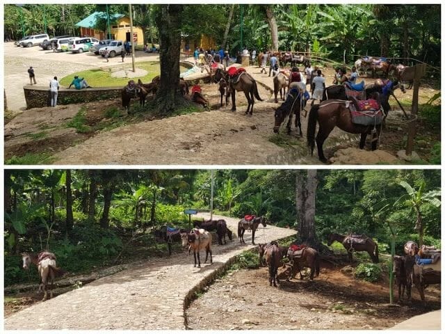 caballos de ascenso Citadelle laferrière de Haití