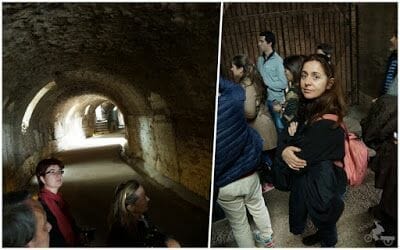 grupo visita guiada coliseo subterraneos