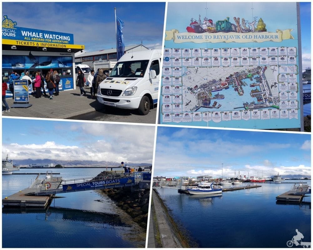 special tours reykjavik
