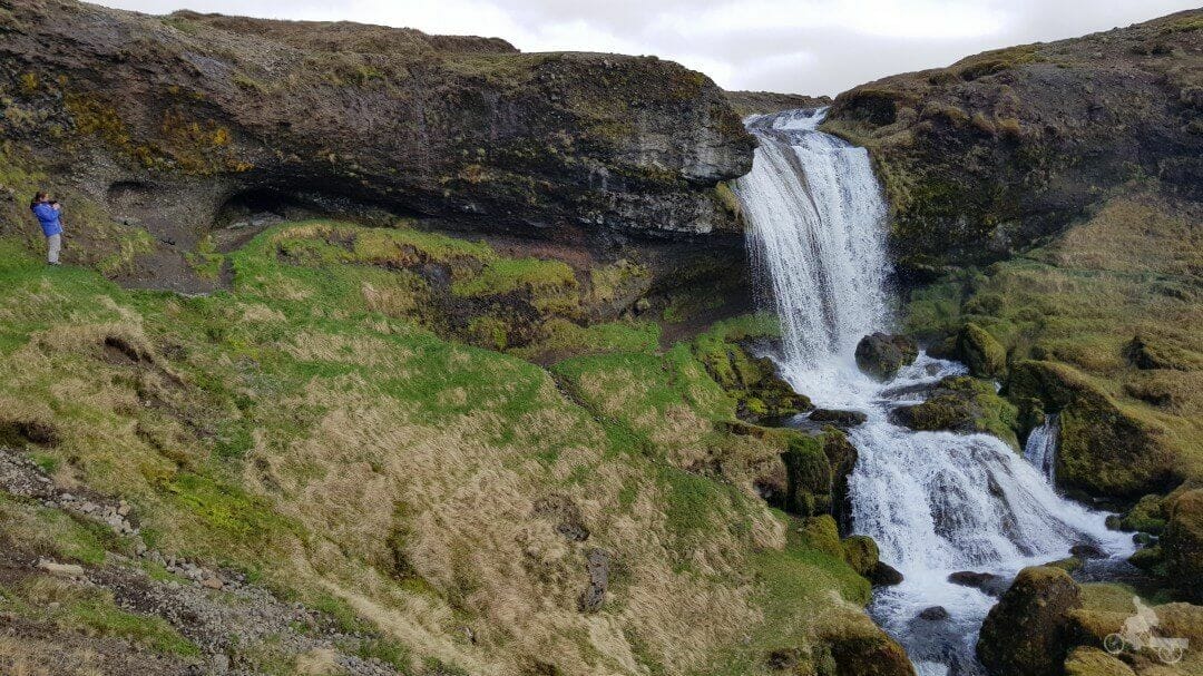 sheep waterfall