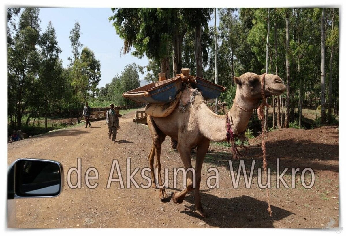 De Aksum a Wukro