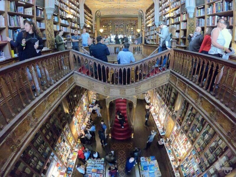 escalera de la libreria harry potter