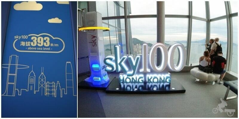logo sky 100