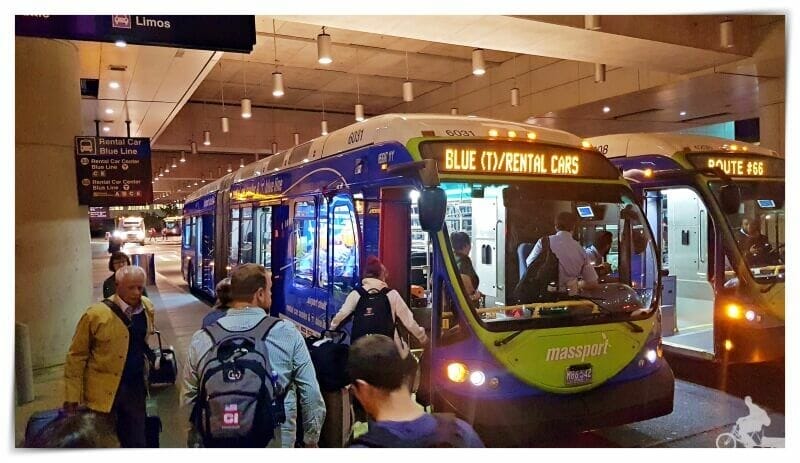 blue line bus