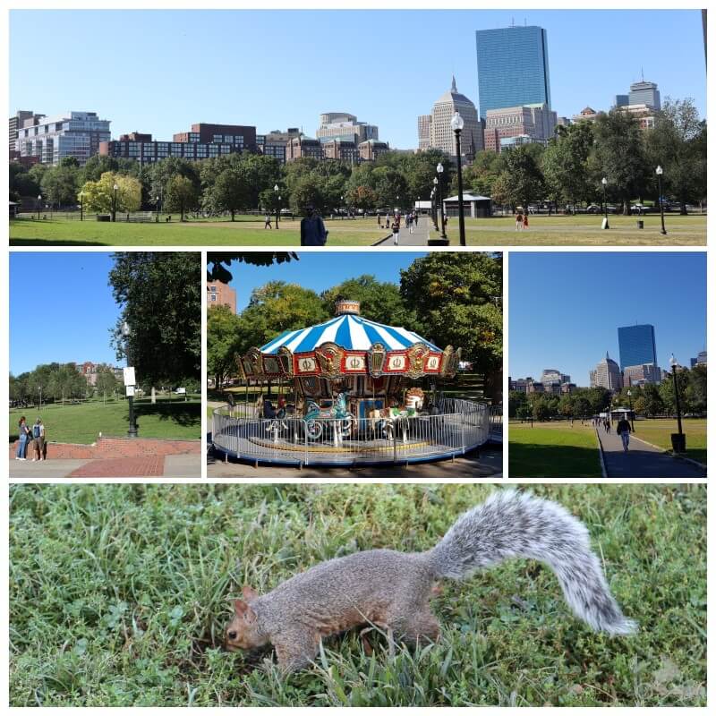 common park boston