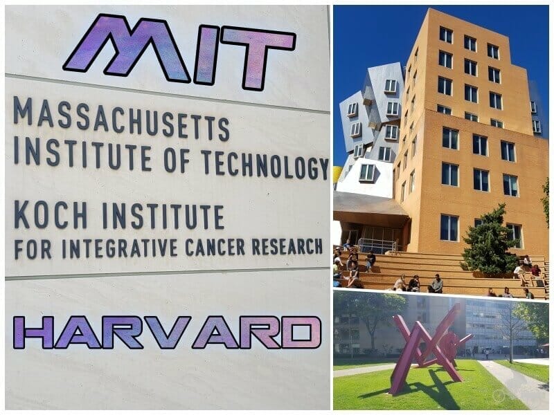 qué ver en Harvard y el MIT