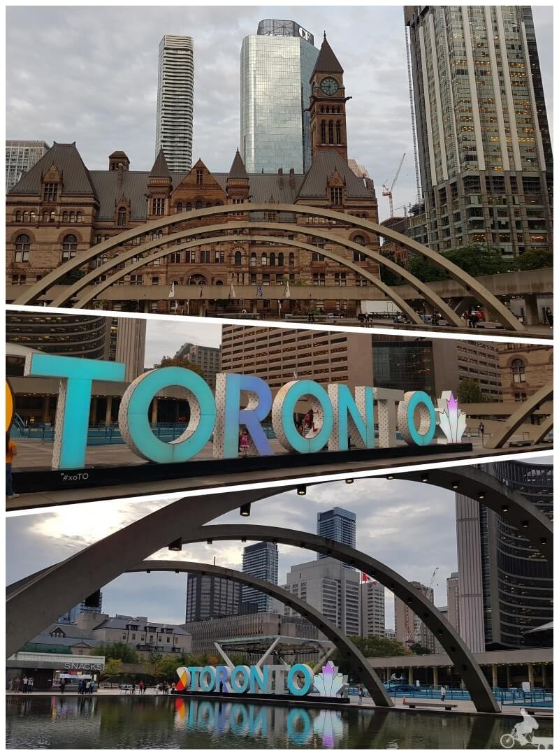 plaza ayuntamiento - qué ver en Toronto en 2 días