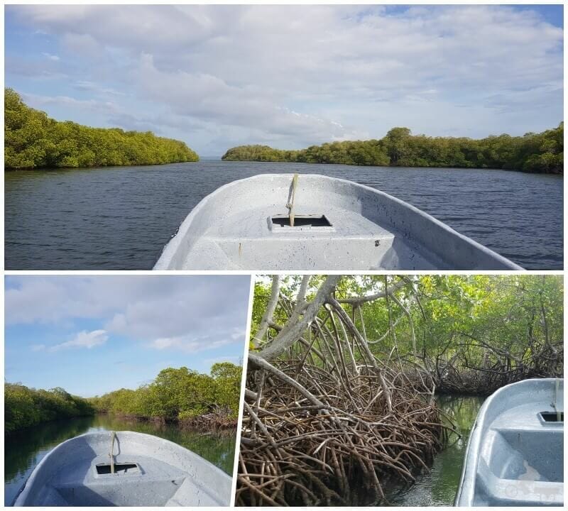 parque nacional manglares punta rucia