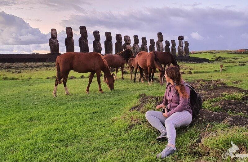 amanecer en ahu Tongariki con caballos