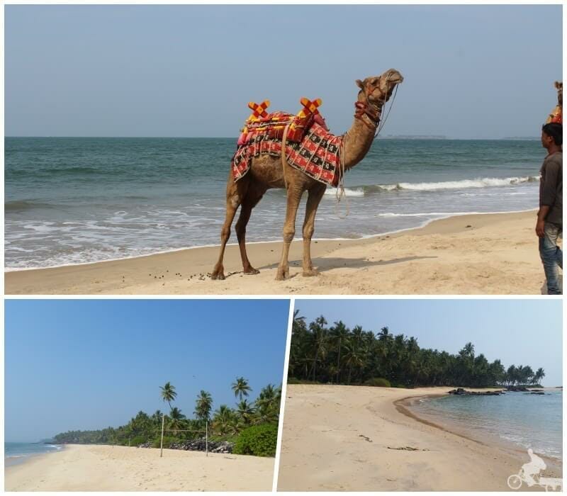 playas de Goa - India del Sur