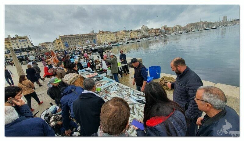 free tour puerto de Marsella