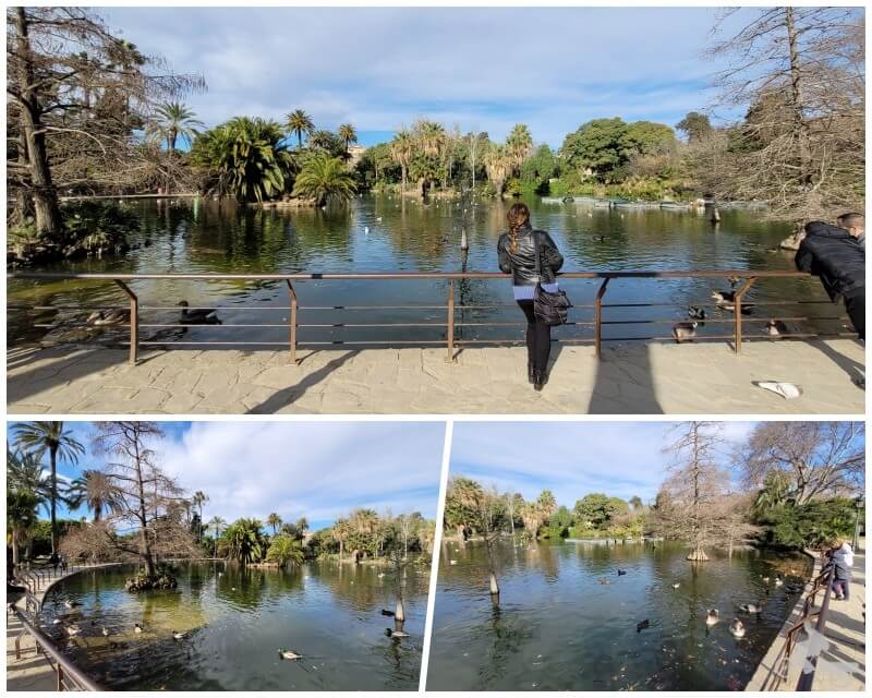 lago del parque de la ciutadella