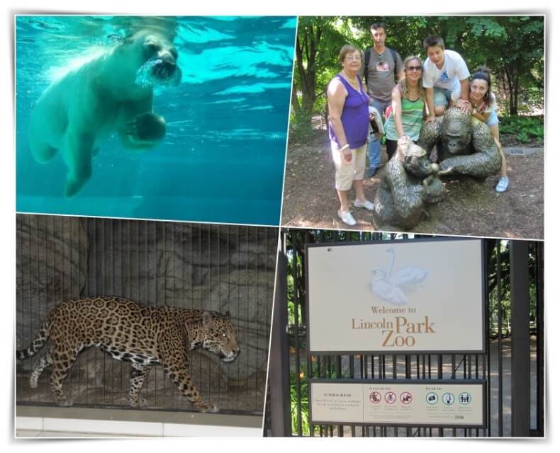 lincoln park zoo - Chicago en 4 días