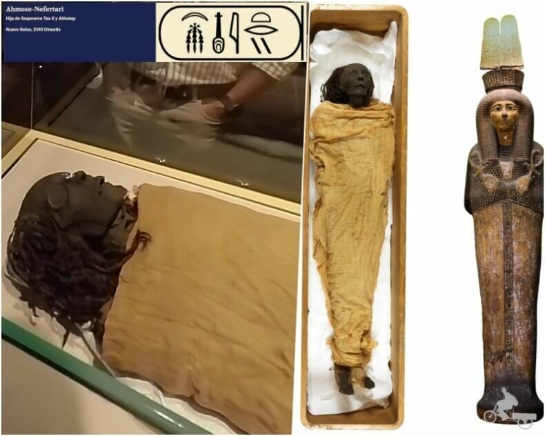 Ahmose Nefertari - momias egipcias reales