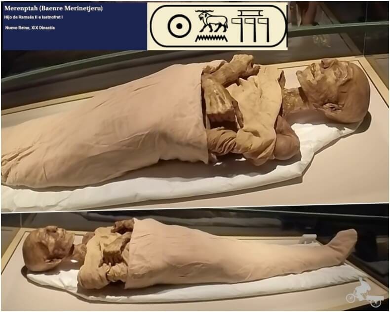 momia de Merenptah