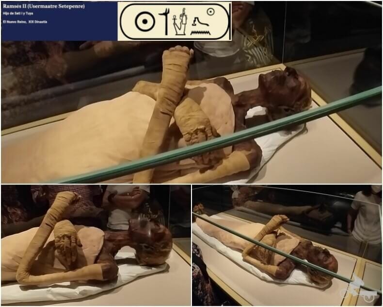momia de Ramses II
