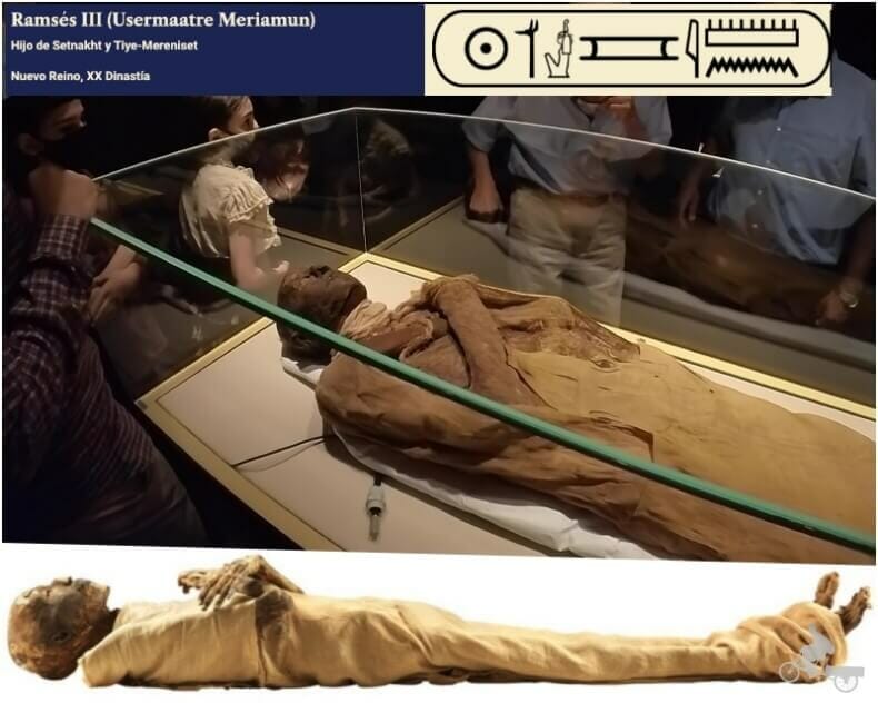 momia de Ramses III