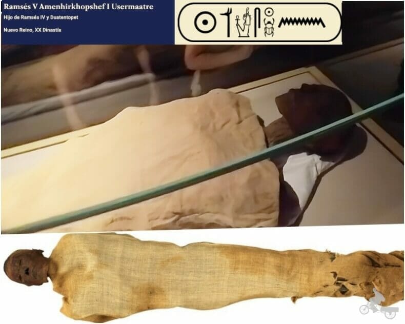 momia de Ramses V