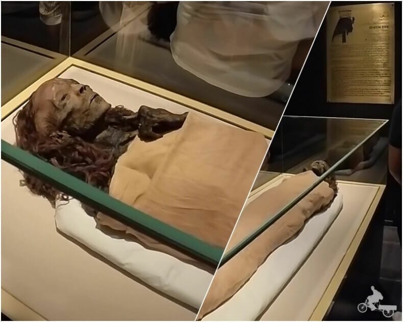 momia de Tiye - momias egipcias reales