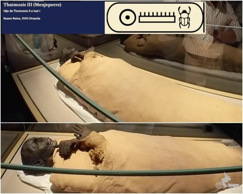 momia de Tutmosis III