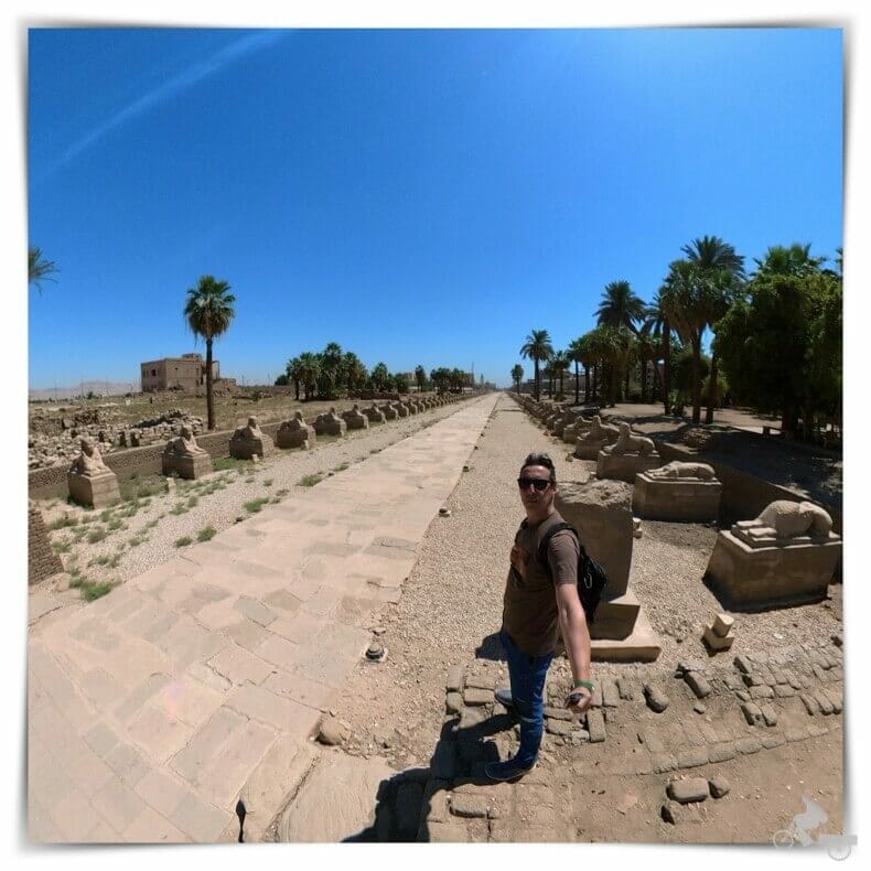 avenida de las esfinges en el templo de Luxor