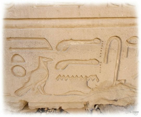 jeroglificos con forma de pene