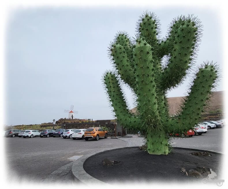 parking jardín cactus Lanzarote