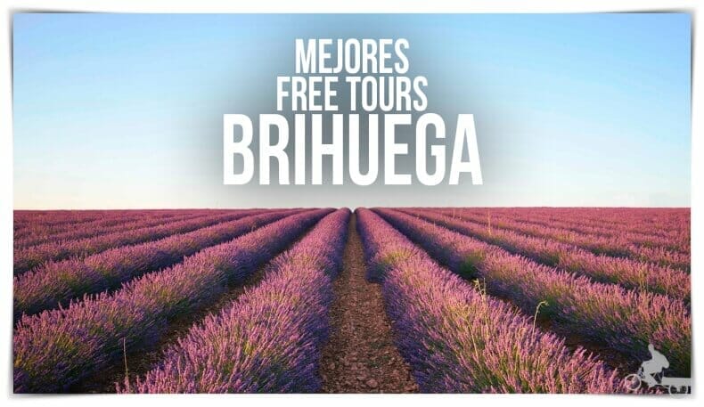 mejores free tours en Brihuega