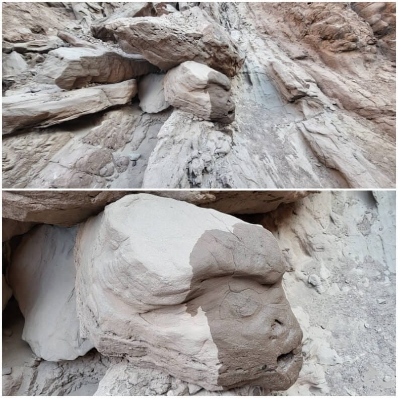 roca con forma de cara de mono