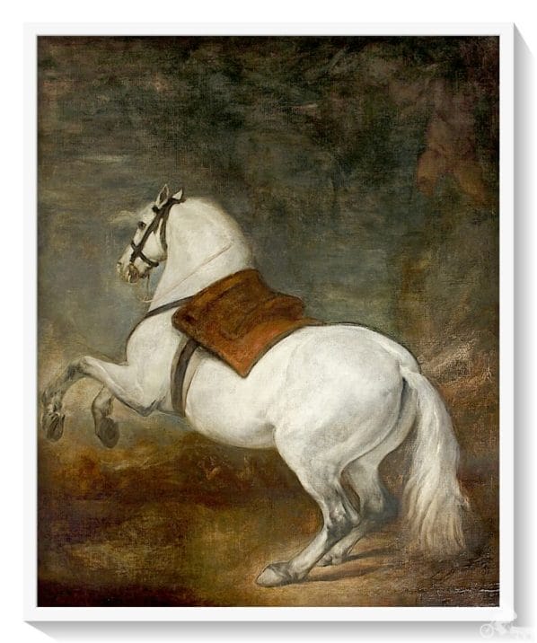 Caballo blanco sin jinete de Velazquez - Galería de Colecciones Reales de Madrid